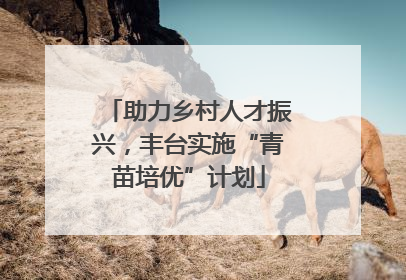 助力乡村人才振兴，丰台实施“青苗培优”计划