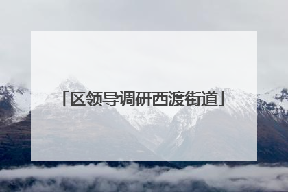 区领导调研西渡街道