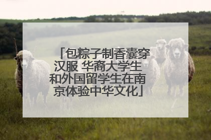 包粽子制香囊穿汉服 华裔大学生和外国留学生在南京体验中华文化