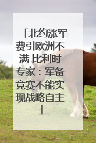 北约涨军费引欧洲不满 比利时专家：军备竞赛不能实现战略自主