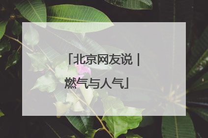 北京网友说｜燃气与人气