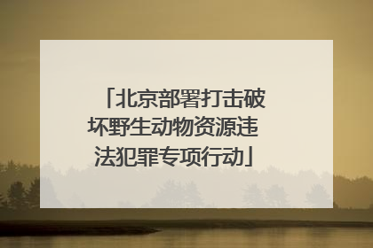 北京部署打击破坏野生动物资源违法犯罪专项行动