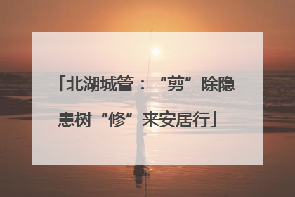 北湖城管：“剪”除隐患树“修”来安居行
