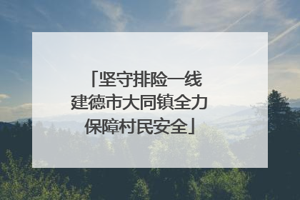 坚守排险一线 建德市大同镇全力保障村民安全