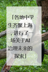 各地中学生齐聚上海，进行了一场关于AI治理未来的探索