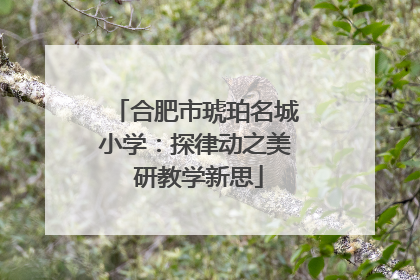 合肥市琥珀名城小学：探律动之美 研教学新思