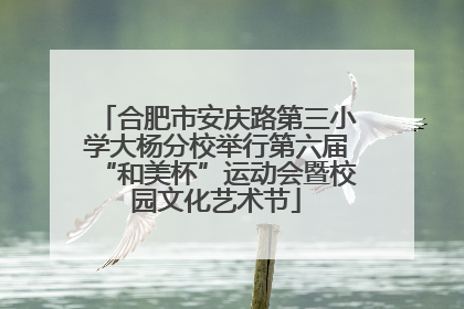 合肥市安庆路第三小学大杨分校举行第六届“和美杯”运动会暨校园文化艺术节