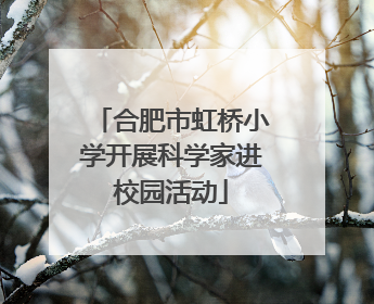 合肥市虹桥小学开展科学家进校园活动