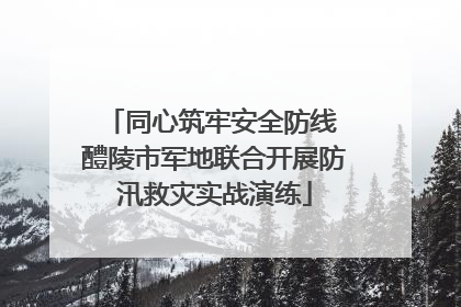 同心筑牢安全防线 醴陵市军地联合开展防汛救灾实战演练