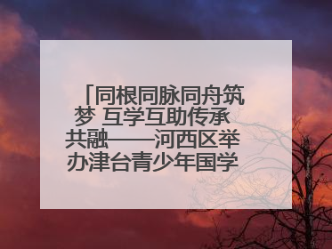 同根同脉同舟筑梦 互学互助传承共融——河西区举办津台青少年国学交流活动