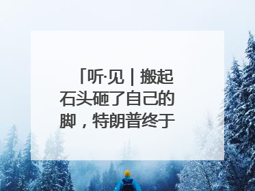 听·见｜搬起石头砸了自己的脚，特朗普终于“慌”了！