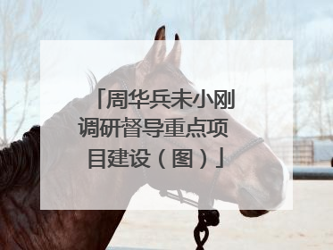 周华兵未小刚调研督导重点项目建设（图）