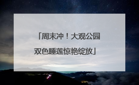 周末冲！大观公园双色睡莲惊艳绽放