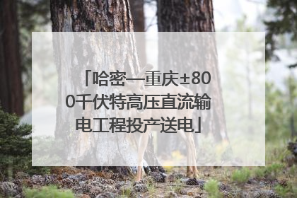 哈密—重庆±800千伏特高压直流输电工程投产送电