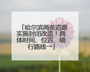 哈尔滨两条道路实施封闭改造！具体时间、位置、绕行路线→