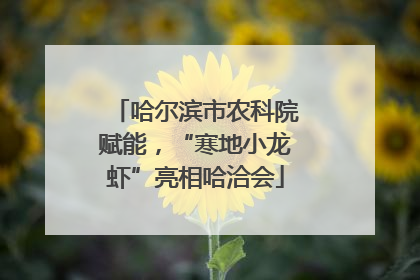 哈尔滨市农科院赋能，“寒地小龙虾”亮相哈洽会