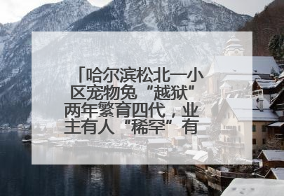 哈尔滨松北一小区宠物兔“越狱”两年繁育四代，业主有人“稀罕”有人忧，专家提醒