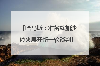 哈马斯：准备就加沙停火展开新一轮谈判