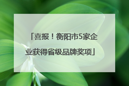 喜报！衡阳市5家企业获得省级品牌奖项