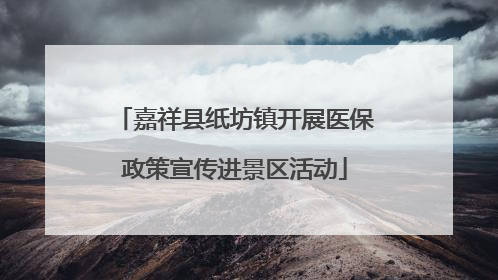 嘉祥县纸坊镇开展医保政策宣传进景区活动