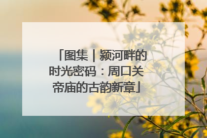 图集｜颍河畔的时光密码：周口关帝庙的古韵新章