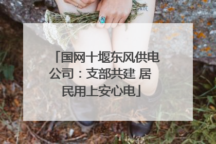 国网十堰东风供电公司：支部共建 居民用上安心电
