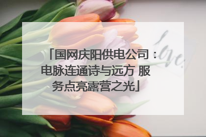 国网庆阳供电公司：电脉连通诗与远方 服务点亮露营之光