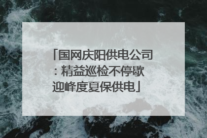 国网庆阳供电公司：精益巡检不停歇 迎峰度夏保供电