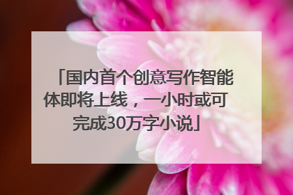 国内首个创意写作智能体即将上线，一小时或可完成30万字小说