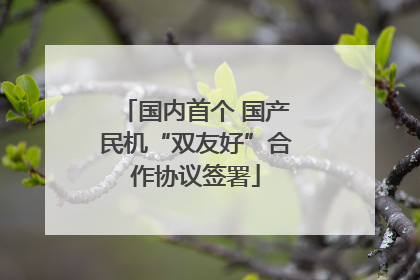 国内首个 国产民机“双友好”合作协议签署