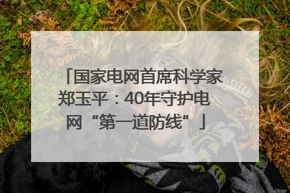 国家电网首席科学家郑玉平：40年守护电网“第一道防线”
