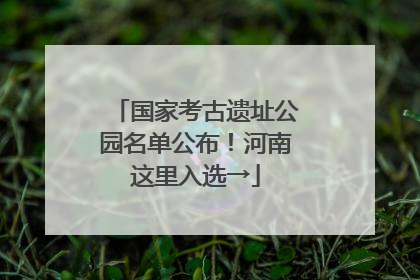国家考古遗址公园名单公布！河南这里入选→