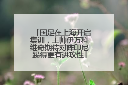 国足在上海开启集训，主帅伊万科维奇期待对阵印尼踢得更有进攻性