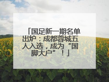 国足新一期名单出炉：成都蓉城五人入选，成为“国脚大户”！