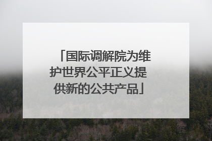 国际调解院为维护世界公平正义提供新的公共产品