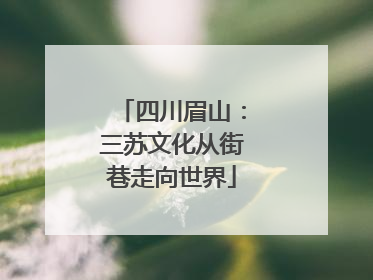 四川眉山：三苏文化从街巷走向世界