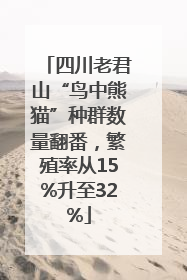 四川老君山“鸟中熊猫”种群数量翻番，繁殖率从15%升至32%