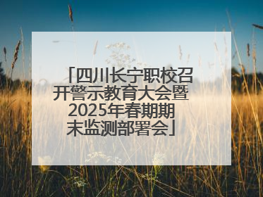 四川长宁职校召开警示教育大会暨2025年春期期末监测部署会