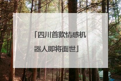 四川首款情感机器人即将面世