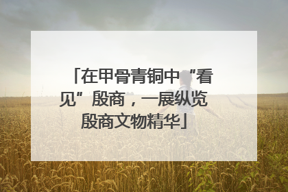 在甲骨青铜中“看见”殷商，一展纵览殷商文物精华