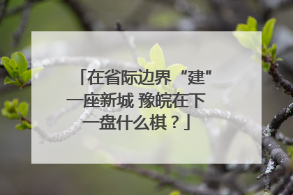 在省际边界“建”一座新城 豫皖在下一盘什么棋？