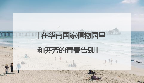 在华南国家植物园里和芬芳的青春告别