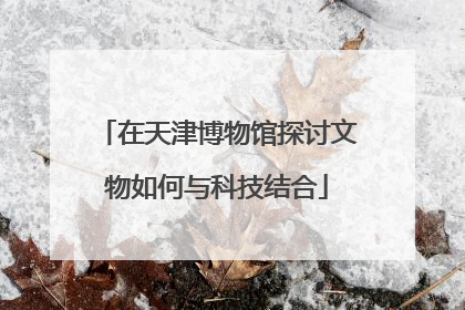 在天津博物馆探讨文物如何与科技结合