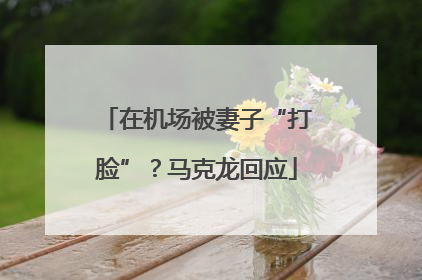 在机场被妻子“打脸”？马克龙回应