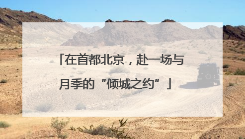 在首都北京，赴一场与月季的“倾城之约”