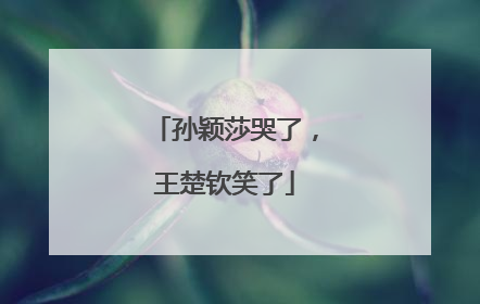 孙颖莎哭了，王楚钦笑了