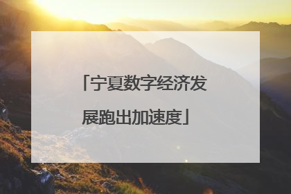 宁夏数字经济发展跑出加速度