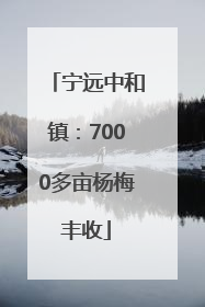 宁远中和镇：7000多亩杨梅丰收