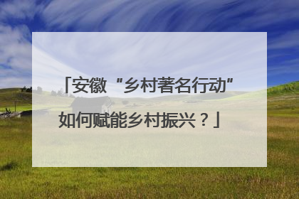 安徽“乡村著名行动”如何赋能乡村振兴？