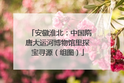 安徽淮北：中国隋唐大运河博物馆里探宝寻源（组图）